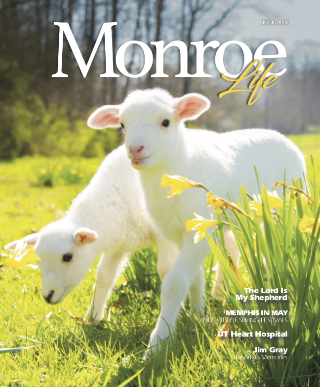 Monroe Life Spring 2019