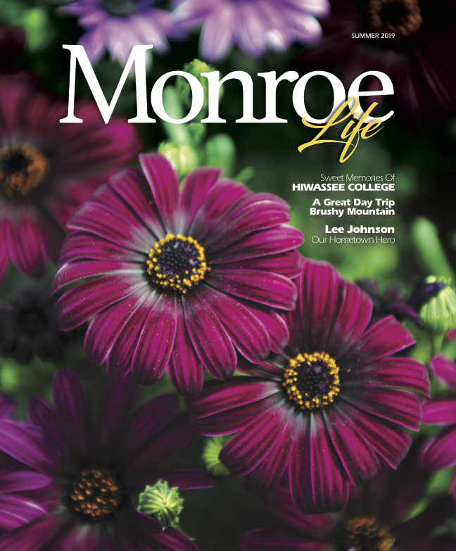 Monroe Life Summer 2019