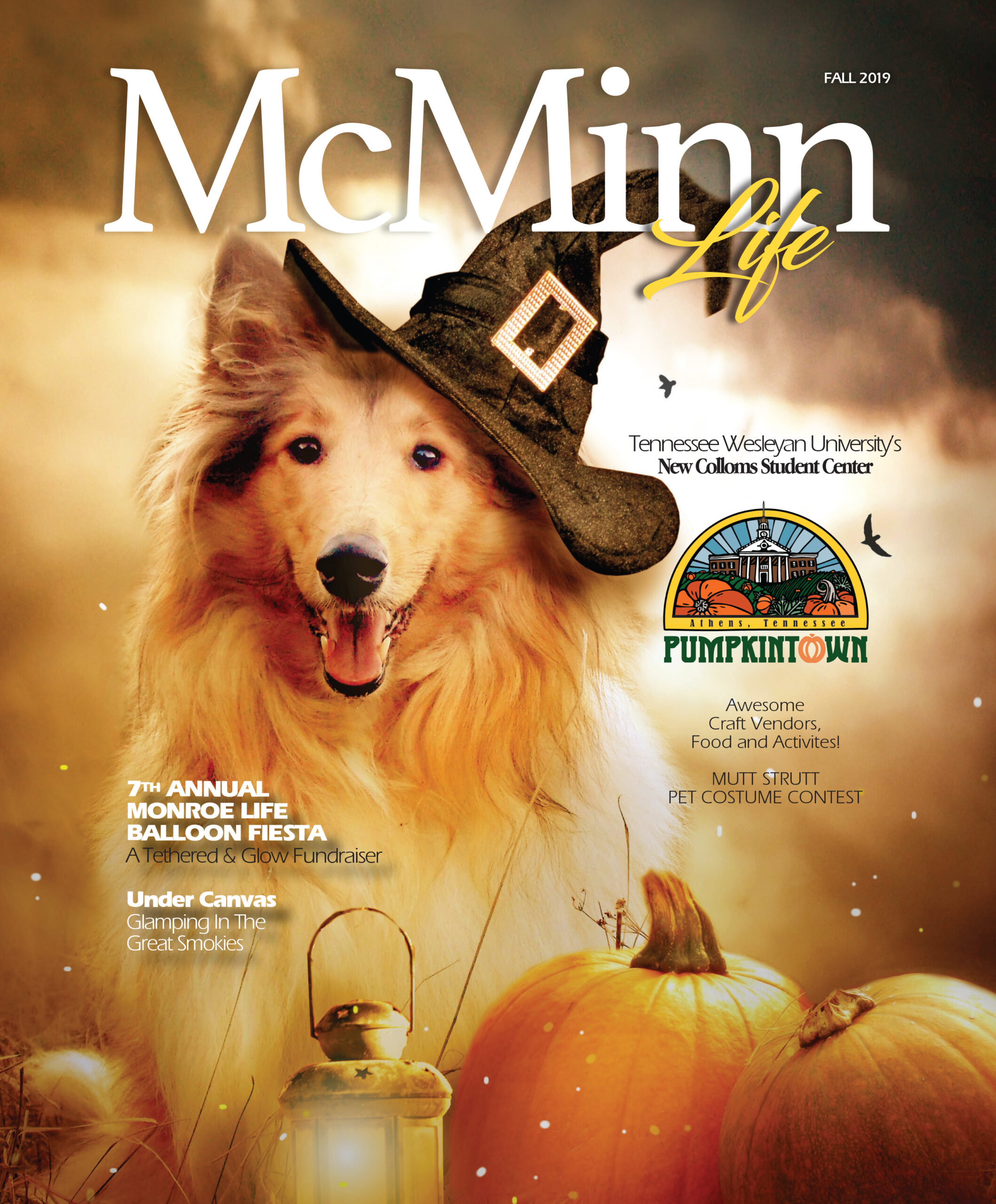 McMinn Life Cover_Fall2019