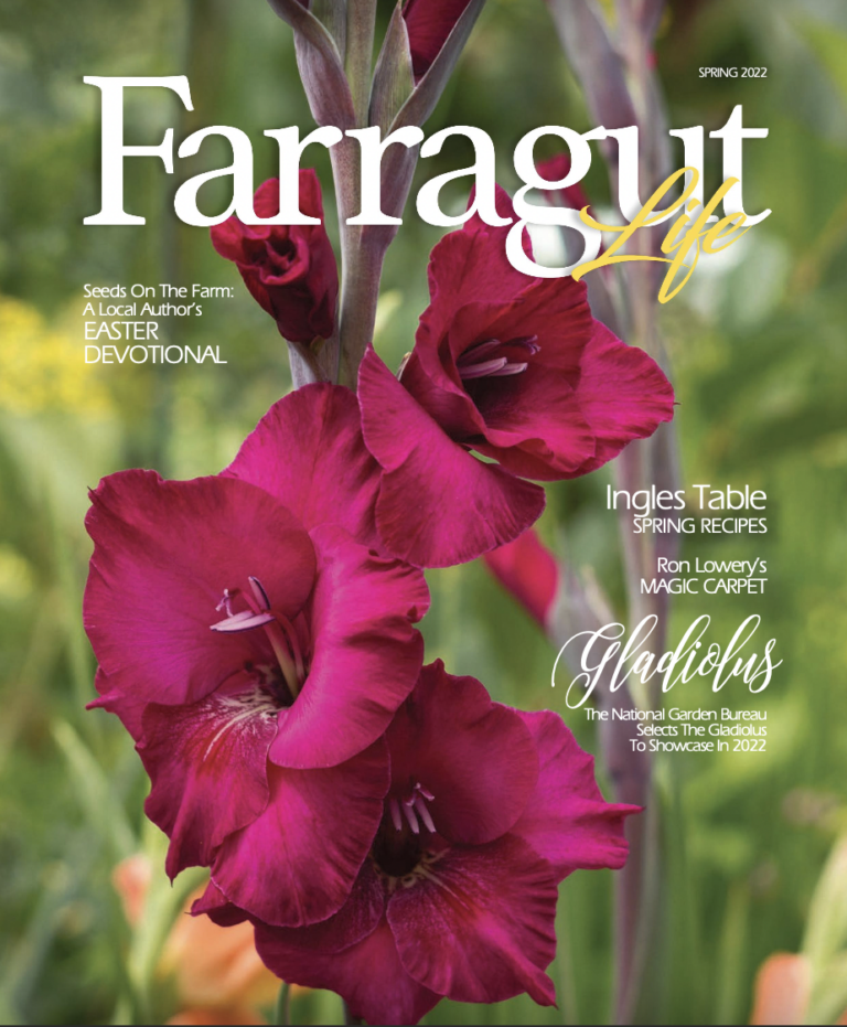 Farragut Life Spring 2022 The Bingham Group