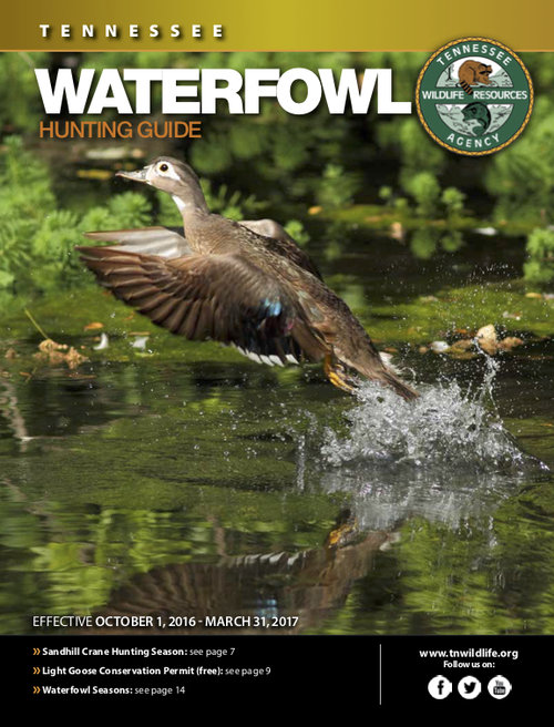 TN Waterfowl Guide 2016-2017