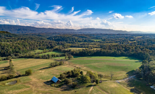 JKFarms-7_v1_current