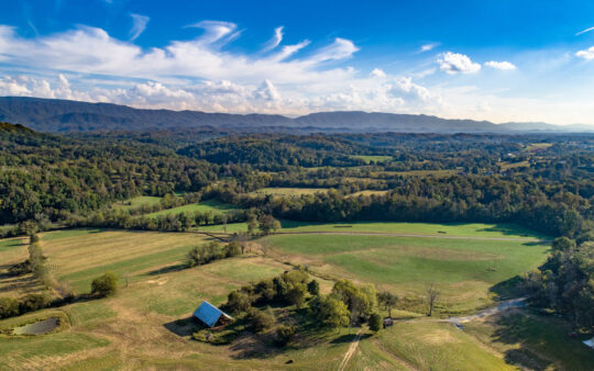 JKFarms-7_v1_current