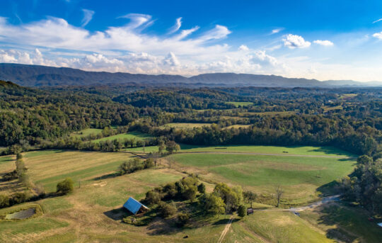 JKFarms-7_v1_current