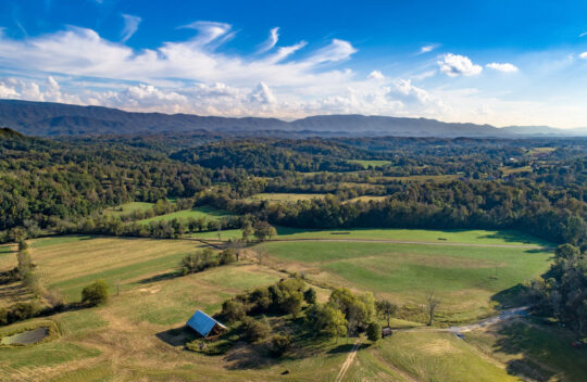 JKFarms-7_v1_current