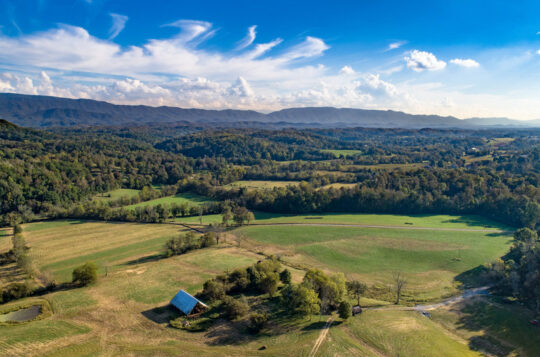 JKFarms-7_v1_current