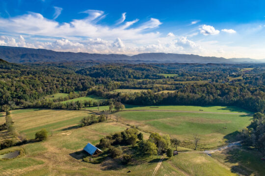 JKFarms-7_v1_current