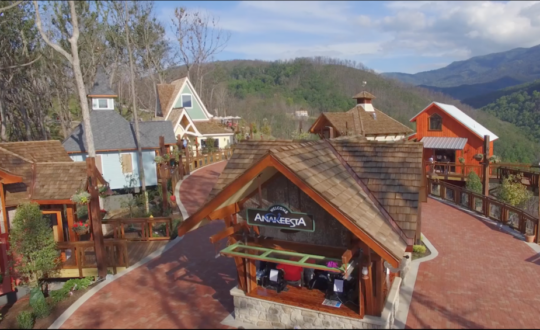 Screen+Shot+2019-01-31+at+1.08.13+PM