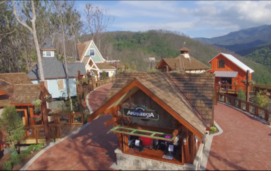 Screen+Shot+2019-01-31+at+1.08.13+PM