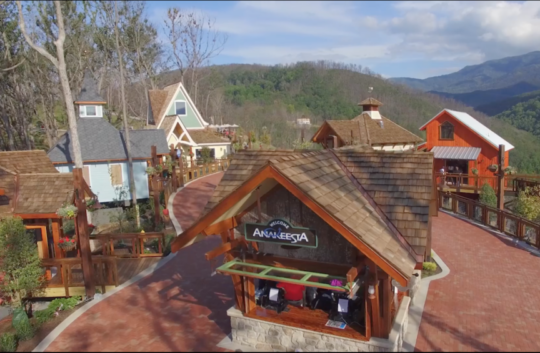 Screen+Shot+2019-01-31+at+1.08.13+PM