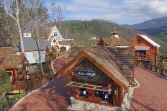 Screen+Shot+2019-01-31+at+1.08.13+PM