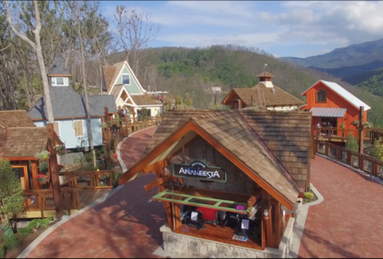 Screen+Shot+2019-01-31+at+1.08.13+PM