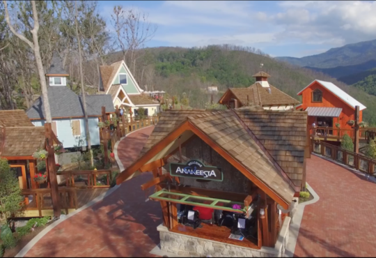 Screen+Shot+2019-01-31+at+1.08.13+PM