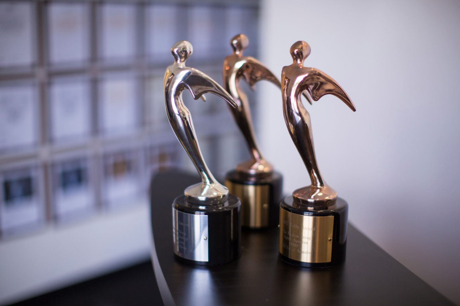 The Bingham Group Wins Top Honors – Three Silver Telly Awards!