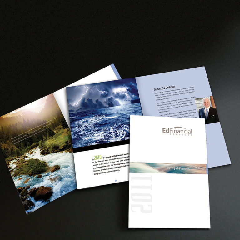 NEW TO EDFINANCIAL EDFINANCIAL SERVICES visual data 4